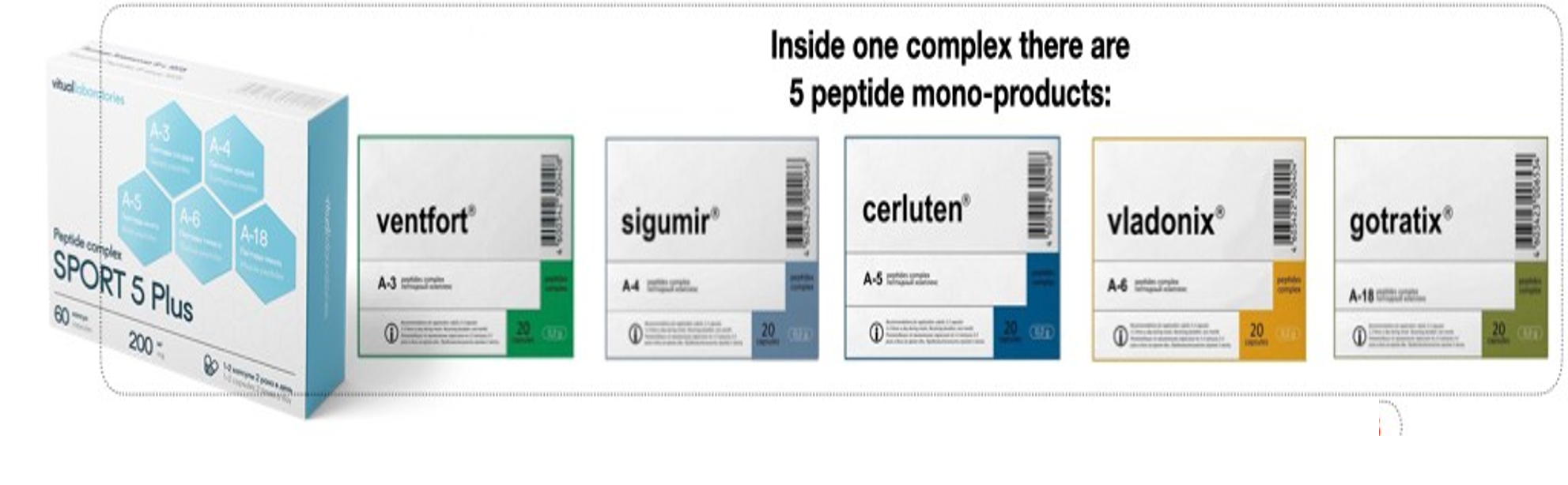 Recovery 5 Plus Peptidkompleks med Ventfort, Sigumir, Cerluten, Vladonix og Gotratix