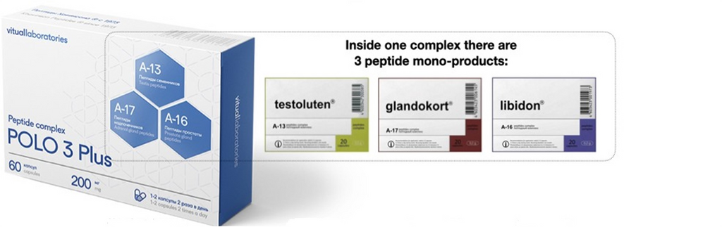 Polo 3 Plus Peptide Complex with Testoluten, Libidon & Glandokort